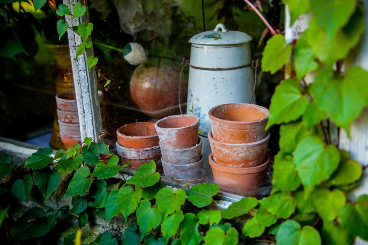 Jardin Et Hotel Particulier 贝叶 外观 照片